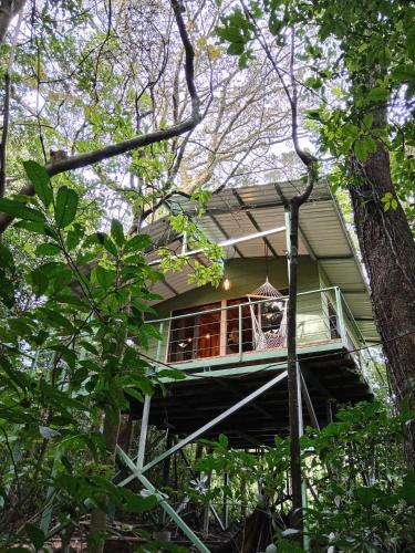 a tree house in the middle of the forest at Jungle Living Tree Houses in Monteverde Costa Rica