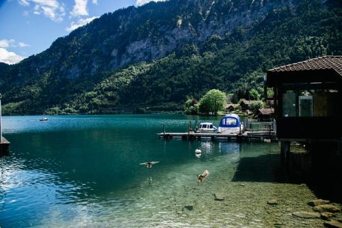 a body of water with two birds in the water at Au Bord Du Lac in Därligen