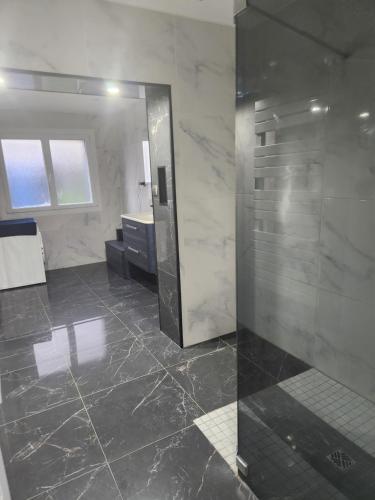 a bathroom with a shower and a large mirror at la Colombière in Longvic