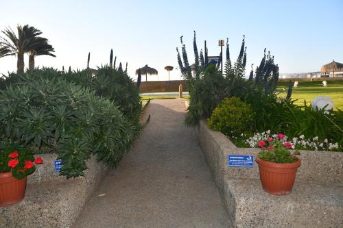 a garden with plants and flowers in pots at San Alfonso del Mar Ideal in Mirasol
