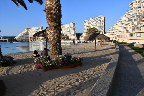 a sandy beach with a palm tree and some buildings at San Alfonso del Mar Ideal in Mirasol