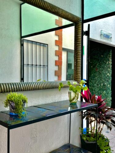 a glass table with plants sitting on a balcony at Hotel Boutique Casa Miranda in Querétaro