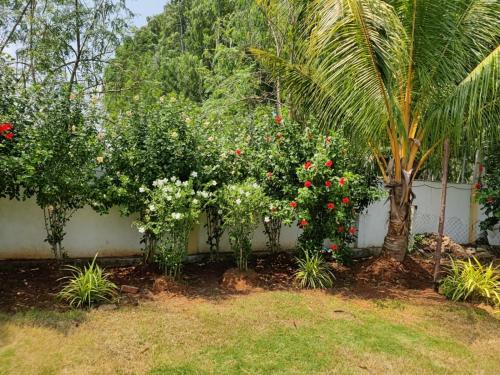 Κήπος έξω από το Sivarama garden resort 5star stay , swimming pool,8 BHK , bheemili beach road Bheemunipatam