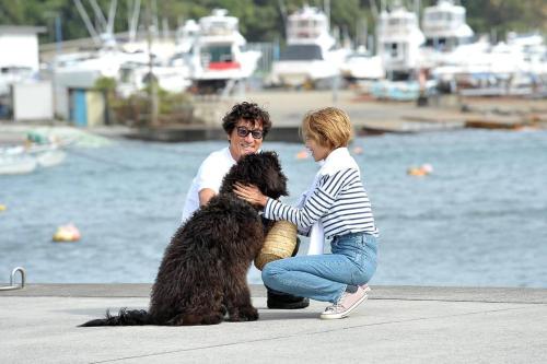 Hosté ubytování iwakiki vacation homes 大型犬と泊まれる完全貸し切り貸別荘