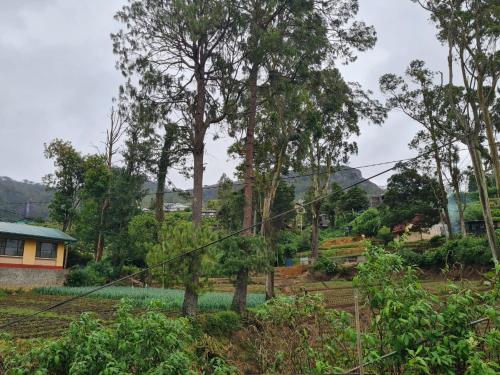a group of trees in front of a house at sasru holiday home in Nuwara Eliya