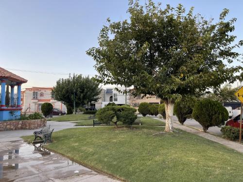 a park with two benches and a tree at Plácida casa cerca del consulado a 1500 metros del consulado americano in Ciudad Juárez