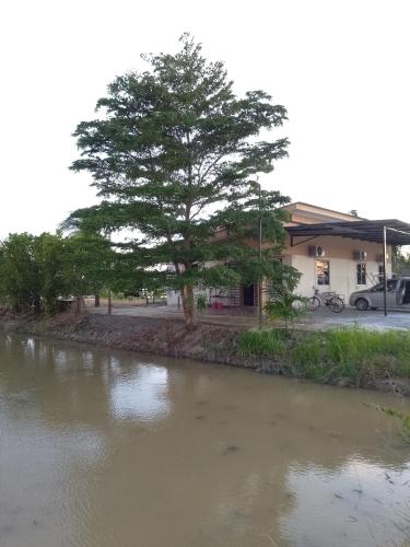 a river with a tree next to a building at Arau Pulau Hilir Home in Kampong Hutan Kandis