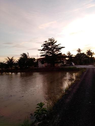 a flooded street with a tree and a house at Arau Pulau Hilir Home in Kampong Hutan Kandis
