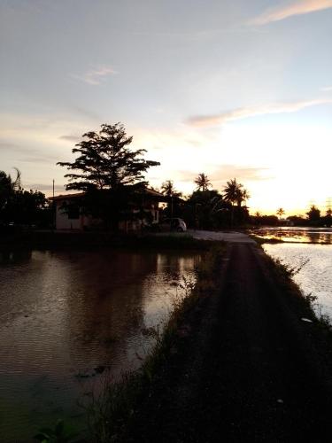 a road with a tree and a body of water at Arau Pulau Hilir Home in Kampong Hutan Kandis