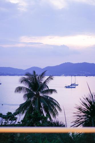 a palm tree and a boat in the water at Davina Beach Homes in Panwa Beach