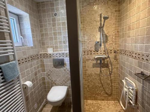 une salle de bain avec douche et toilettes dans l'établissement Studio avec piscine à la campagne, proche de Vichy - Jardin, Terrasse, WiFi, Draps inclus - FR-1-489-230, à Vendat