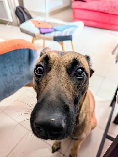 Photo de la galerie de l'établissement Jolie chambre tout confort et calme ! à pied , 5min de la gare ! de la cathédrale ! et des bords de Loire ! localisation top ! MAIS merci de BIEN lire ma présentation personnelle, car le site impose la sienne, lire jusqu'à section profil, à Nevers