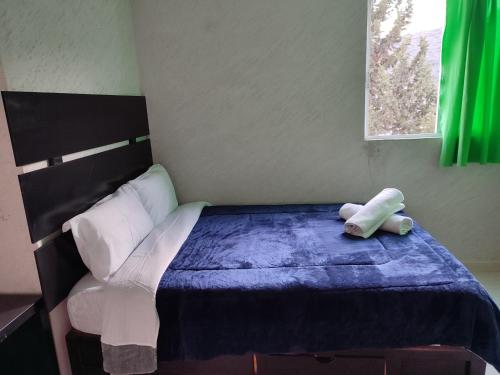 Galeriebild der Unterkunft Mi Casita en el pueblo cerca de Tolantongo in Cardonal