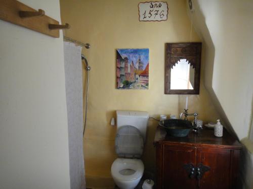 ein Badezimmer mit Toilette und Waschbecken in der Unterkunft Dominic Boutique Tamplarilor in Sighişoara