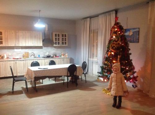 a christmas tree is in the middle of a kitchen at HZ Hostel in Krasnodar