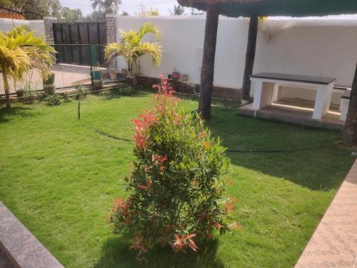 a yard with a bush in the grass at Siva Rama garden resort & swimming pool 5star stay comfort 6BHK bheemili beach road nr in Visakhapatnam