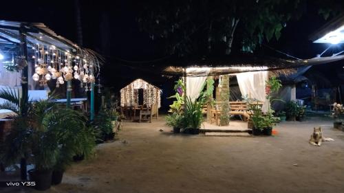 a room with a house and a cat sitting in the middle at Edsan Apartment in Bantayan Island