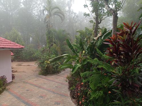 Сад в Dreams home estate stay coorg B