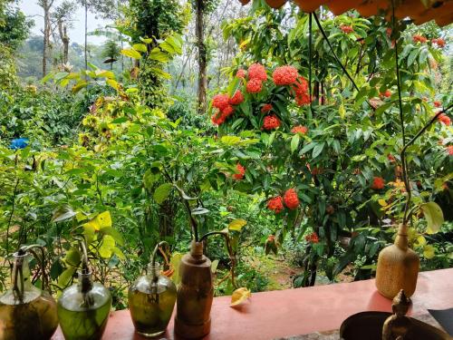 Сад в Dreams home estate stay coorg B