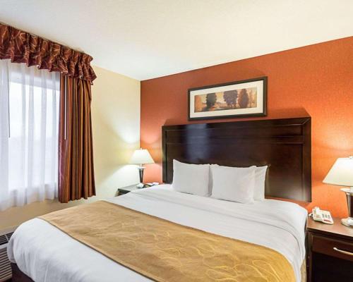 a hotel room with a large bed with orange walls at Comfort Suites Airport in Wichita