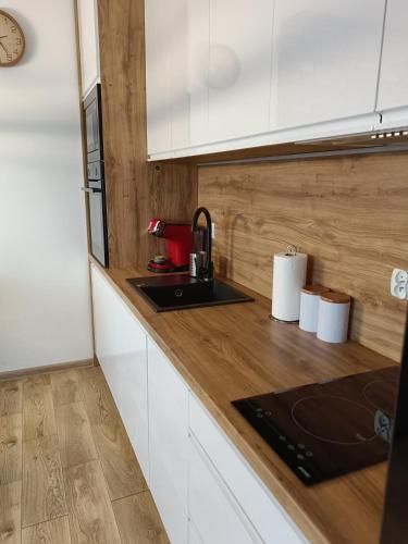 Η κουζίνα ή μικρή κουζίνα στο Apartamenty Bartoszyce 3