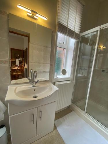 a bathroom with a sink and a shower at Station Cottage in Acle