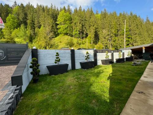 a yard with potted plants and a fence with trees at Transylvania House in Arieşeni