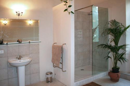 een badkamer met een douche, een wastafel en een toilet bij Villa Vittorio in Bagni di Lucca