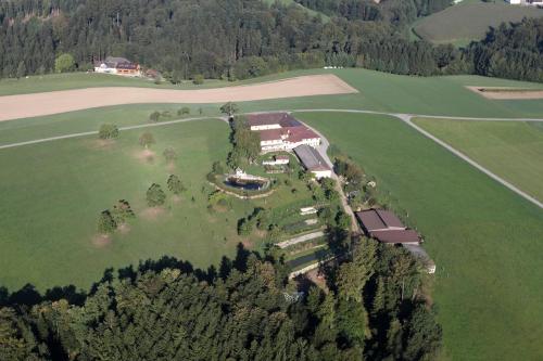 Příroda nedaleko apartmánu