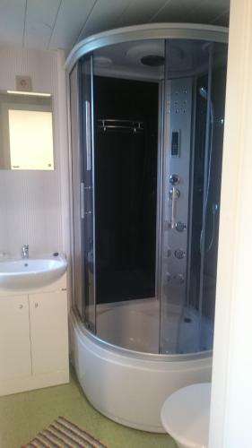 a bathroom with a shower and a sink at Vetesina in Pärnu