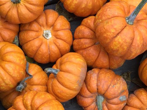 a pile of orange pumpkins sitting next to each other at The Sands in New Buffalo