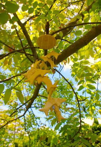 a tree with a yellow flower in a tree at Repülőhal Apartmanház in Zebegény