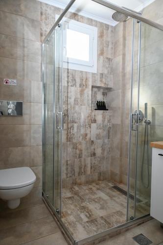a shower stall with a toilet in a bathroom at Glaronisia Hotel in Pollonia