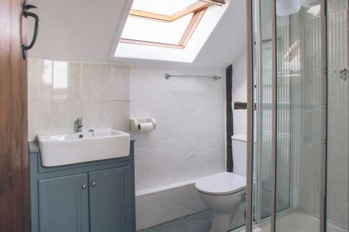 La salle de bains est pourvue d'un lavabo, de toilettes et d'une lucarne. dans l'établissement Rose Cottage Wye Valley AONB, à Llangarren