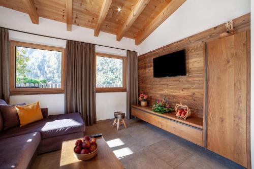 TV a/nebo společenská místnost v ubytování Chalet Resort Innerluferhof