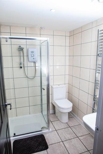 a bathroom with a shower and a toilet and a sink at The Blackhorse Accommodation in Newton Stewart