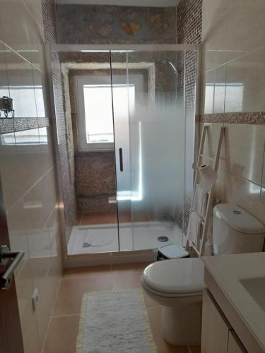 a bathroom with a shower and a toilet and a sink at Alojamento São Lourenço in Viseu