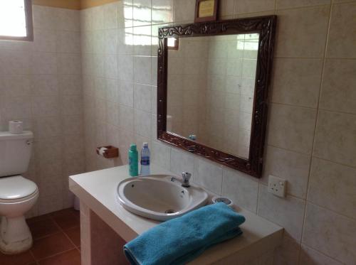 a bathroom with a sink and a mirror and a toilet at Sawa Sawa Beach House in Msambweni