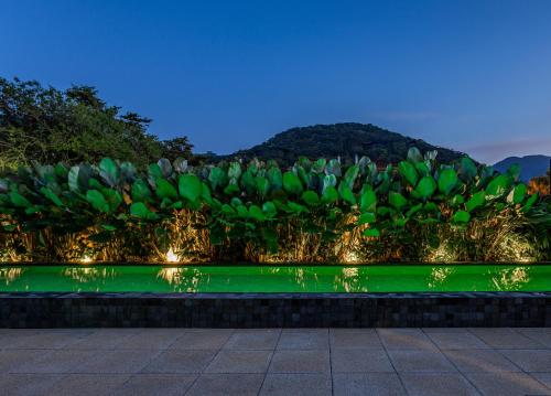 a garden with green water and lights at night at Pousada Yamandu - Piscinas Aquecidas in Juquei