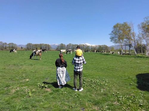a man and a woman standing in a field with cows at 農家民泊せたな牛ハウス in Setana