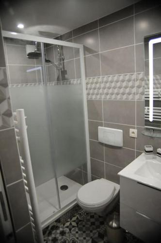 une salle de bain avec une douche, des toilettes et un lavabo dans l'établissement Othello Studio, à Souillac