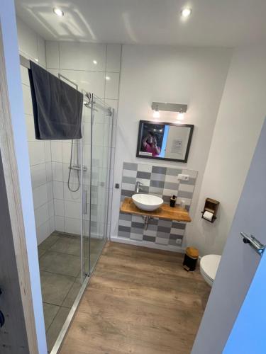 a bathroom with a sink and a glass shower at Livi's Landhaus in Neumagen-Dhron