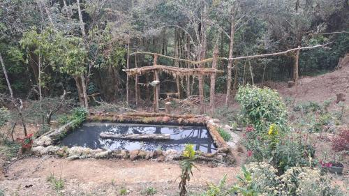 a swimming pool in the middle of a garden at S Natura Birding and Photography in Villa Mills