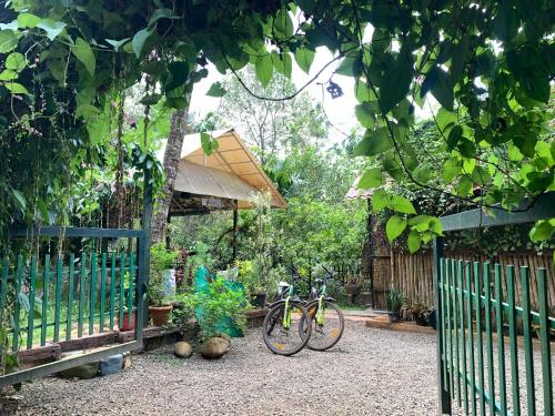 a bike parked in a garden next to a fence at Ela Forest Stay in Kannādi