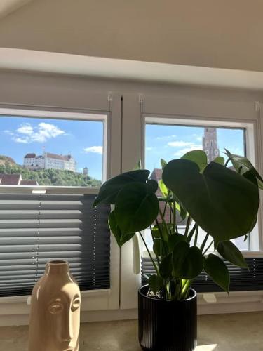 a vase and a plant in a room with a window at Über den Dächern der Landshuter Altstadt in Landshut