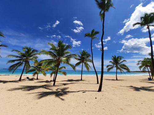 Gallery image of Palms B302 - Rooftop Privat Pool 2BR Appartement mit Beach Shuttle in Punta Cana