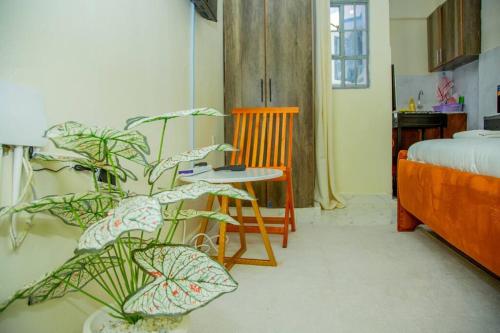 a bedroom with a bed and a table and plants at Glisten Studio with free WIFI and Netflix in Nanyuki