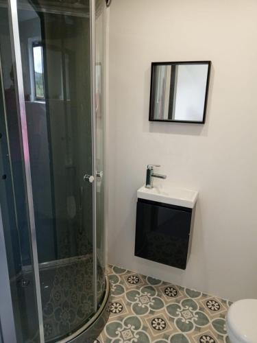 une salle de bain avec douche et lavabo dans l'établissement Quad-Adventure, à Ainvelle