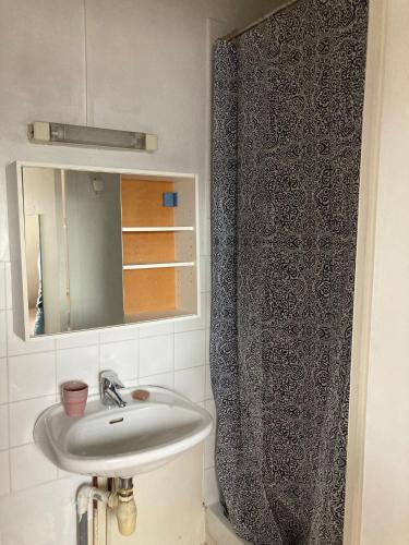 une salle de bain avec un lavabo et un rideau de douche dans l'établissement Ravissant studio Montmartre Opéra, à Paris