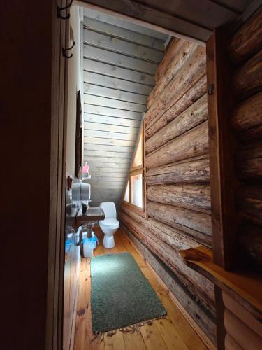 a bathroom with a toilet and a wooden wall at Käbliku Puhkemajad in Kanepi